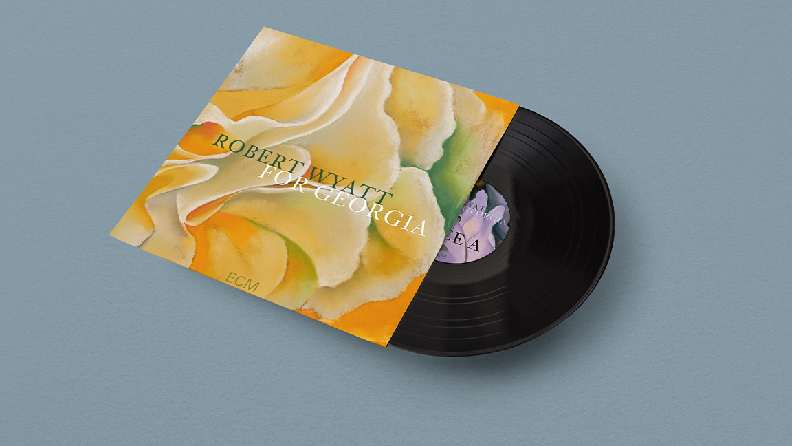 Pochette de vinyle